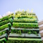 green and yellow plants on white concrete building